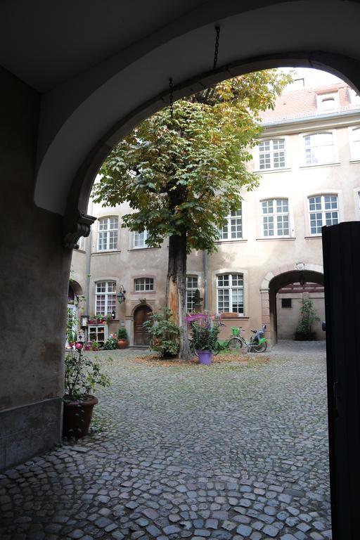 Les Dentelles - Appartement Meuble Design Petite France Strasbourg Eksteriør bilde